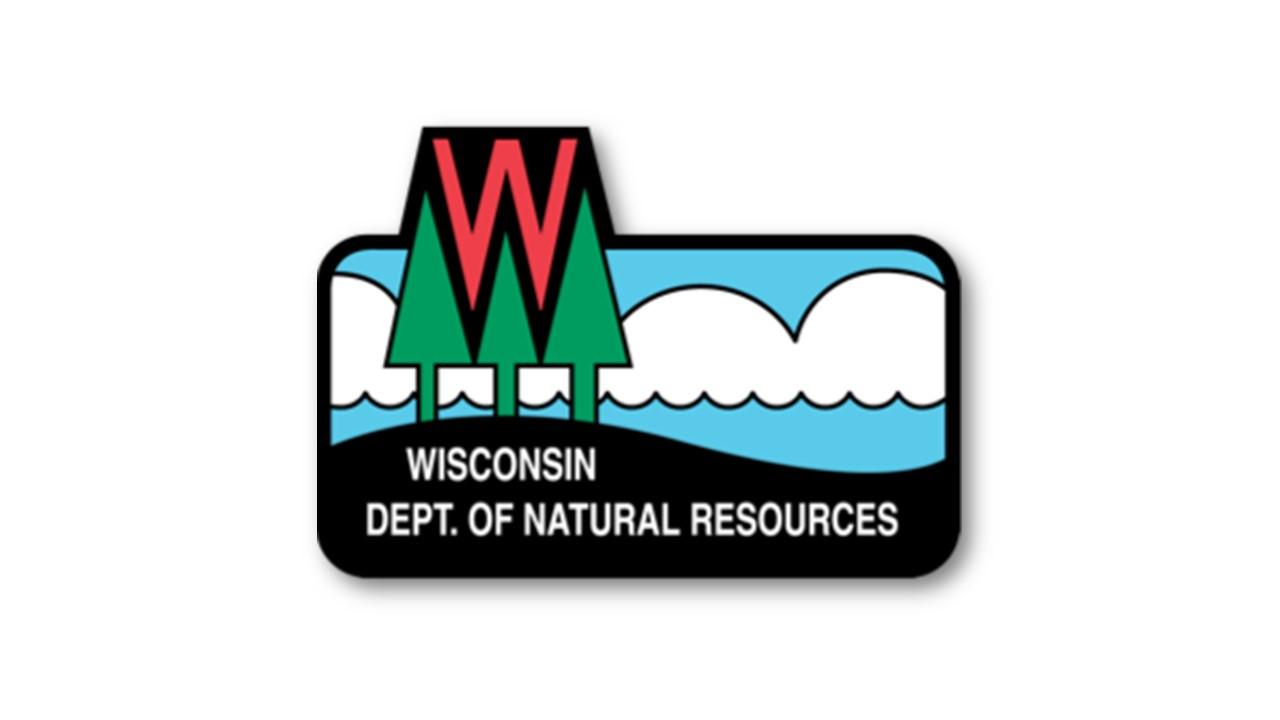 You can help native pollinators in Wisconsin